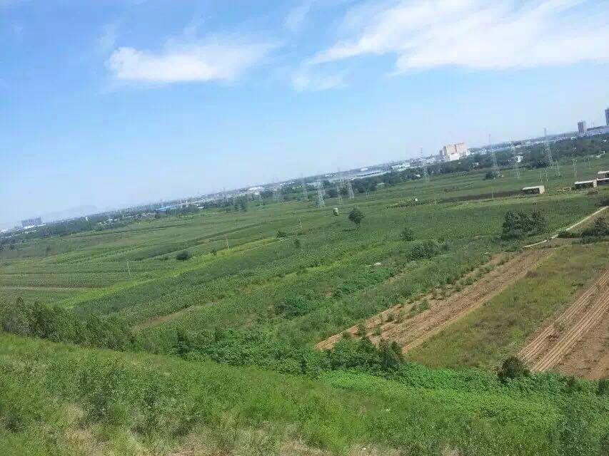 咸陽九里花田攻略,咸陽九里花田門票/遊玩攻略/地址/圖片/門票價格