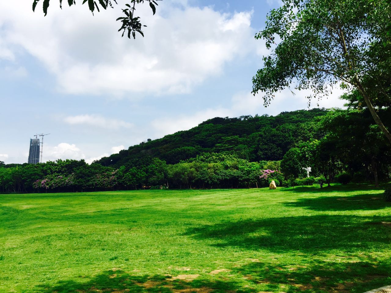 蓮花山公園