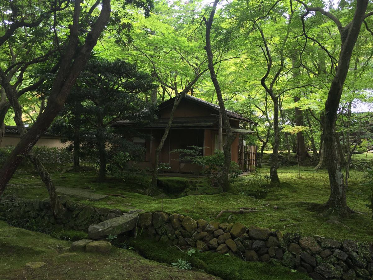 2023西芳寺游玩攻略,观赏前要先诵经,写祈愿牌,.【去哪儿攻略】