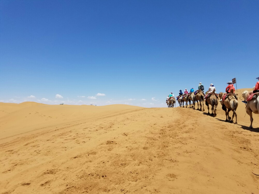 沙坡頭旅遊景點攻略圖