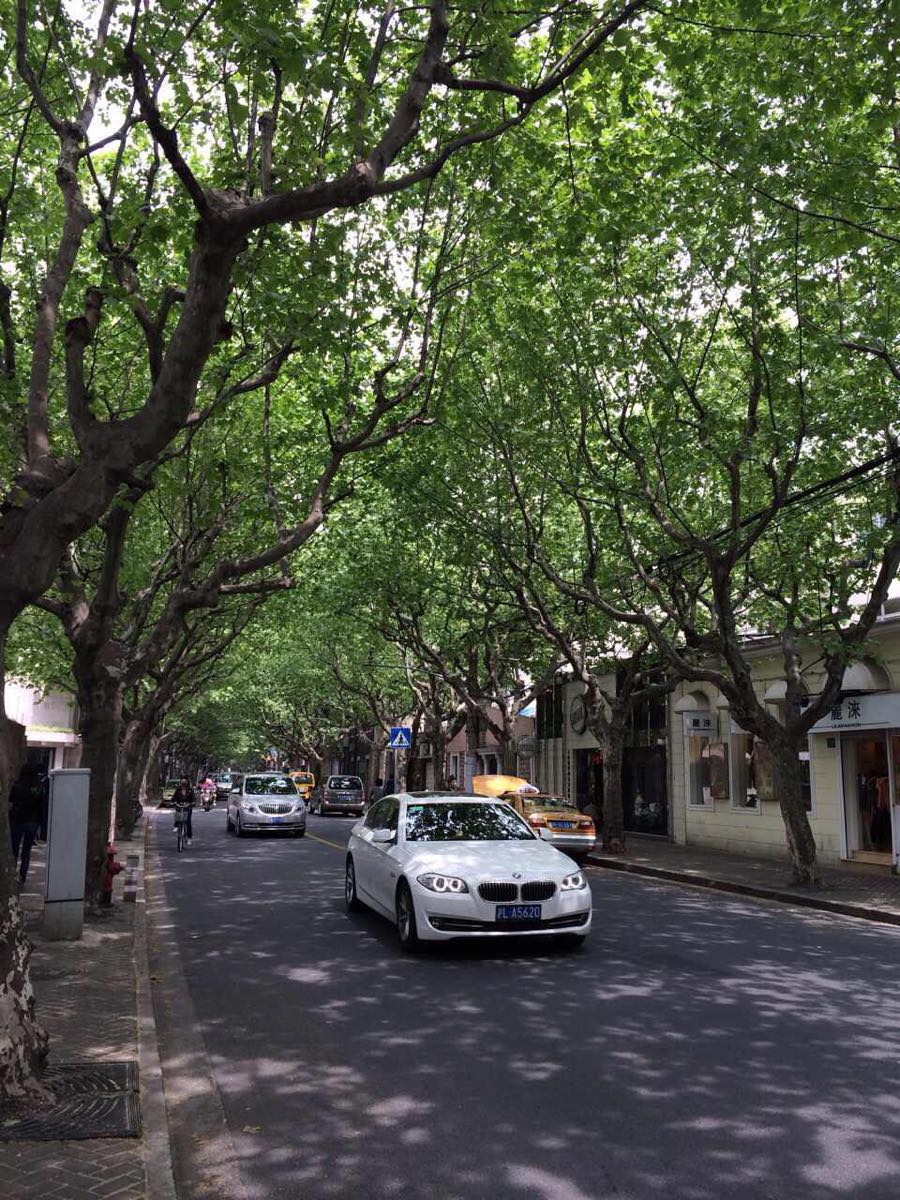上海巨鹿路街景图片