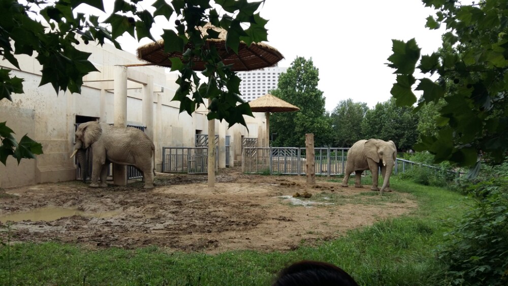 北京動物園