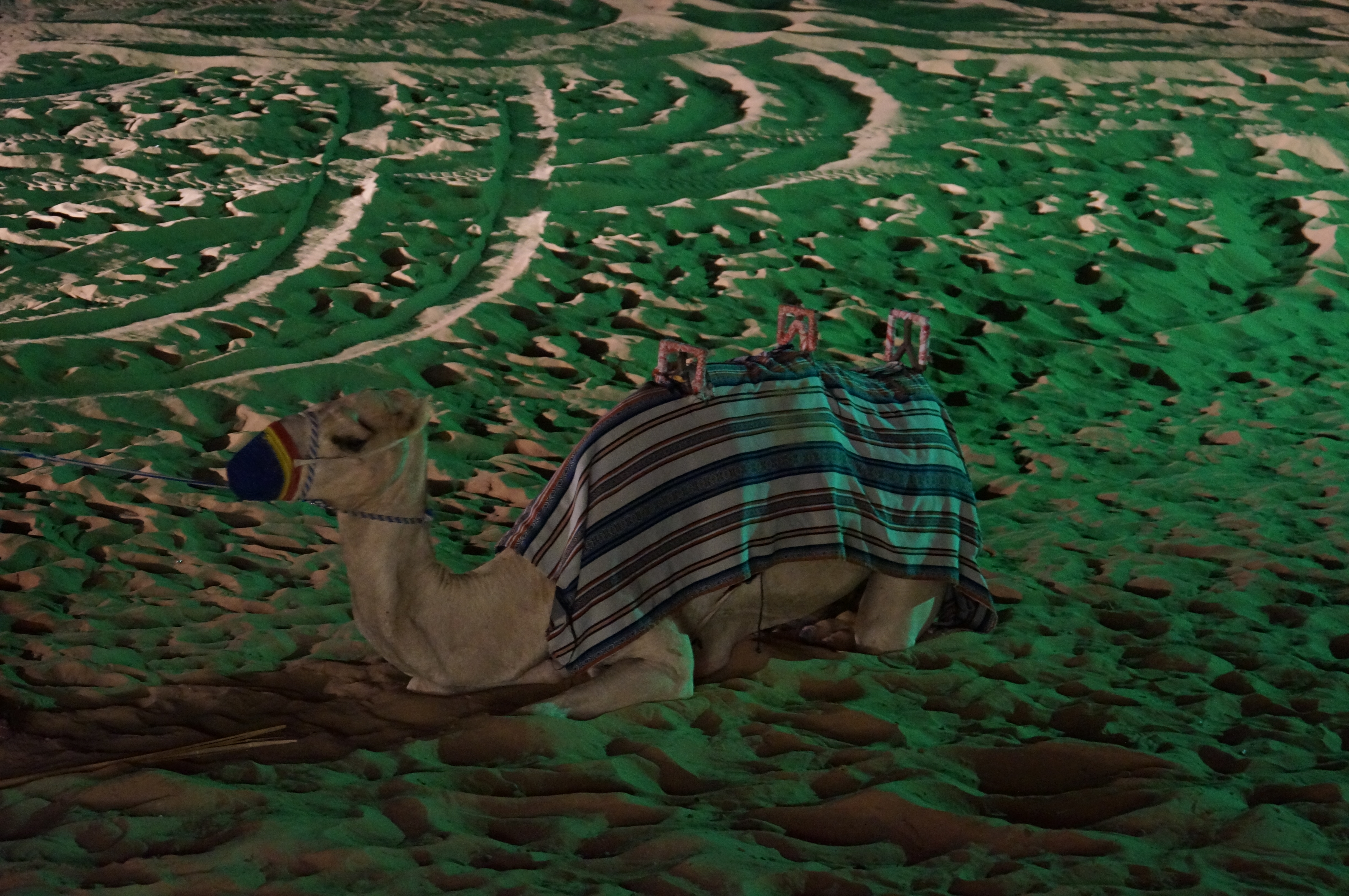 【携程攻略】迪拜desert safari景点,有两种车型:悍马hummer和越野车