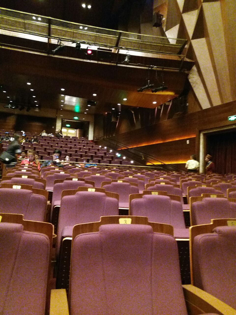 华特迪士尼大剧院