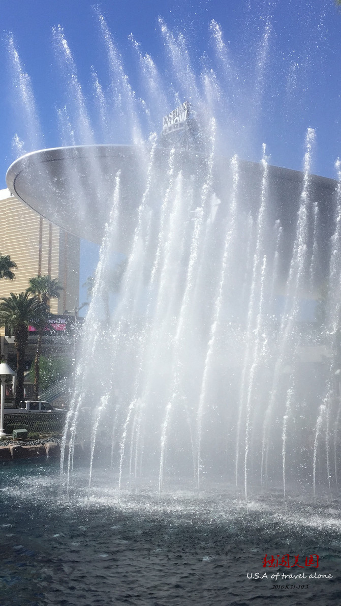 34天29城5000美金英语文盲美国自驾独行记(拉