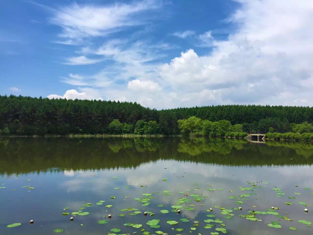 【攜程攻略】長春淨月潭景點,淨月潭有