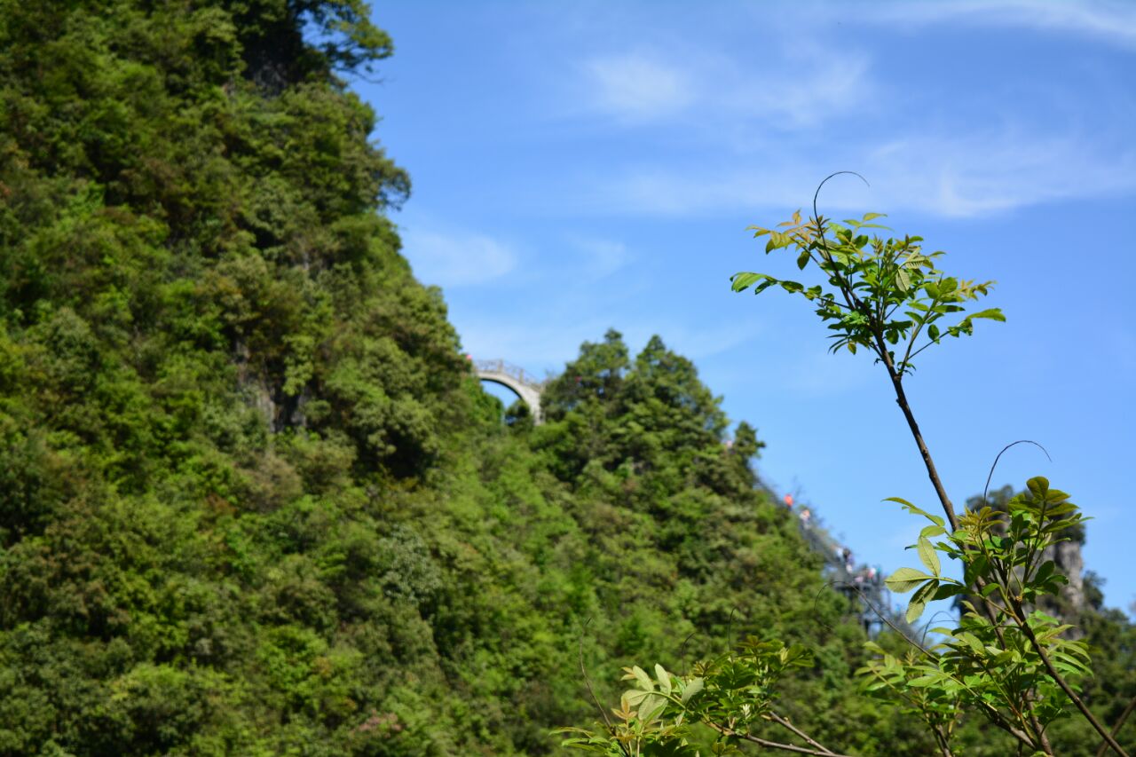 2019柴埠溪大峽谷_旅遊攻略_門票_地址_遊記點評,五峰旅遊景點推薦