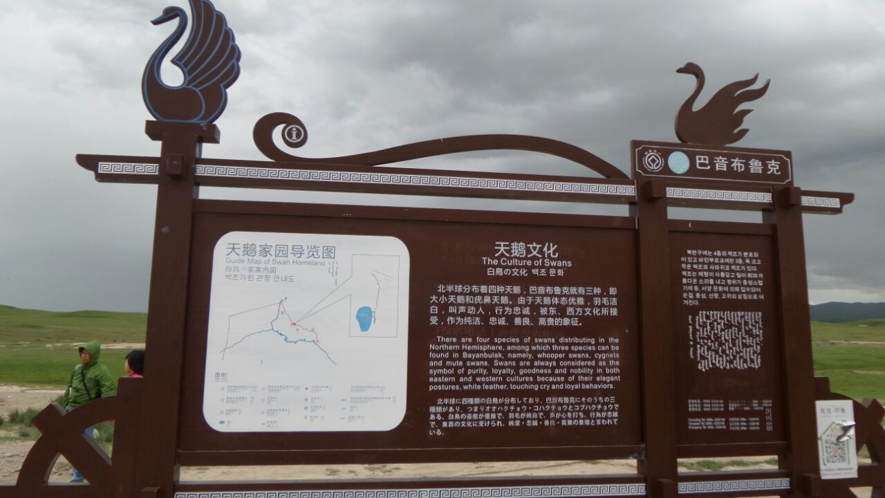 巴音布鲁克天鹅湖