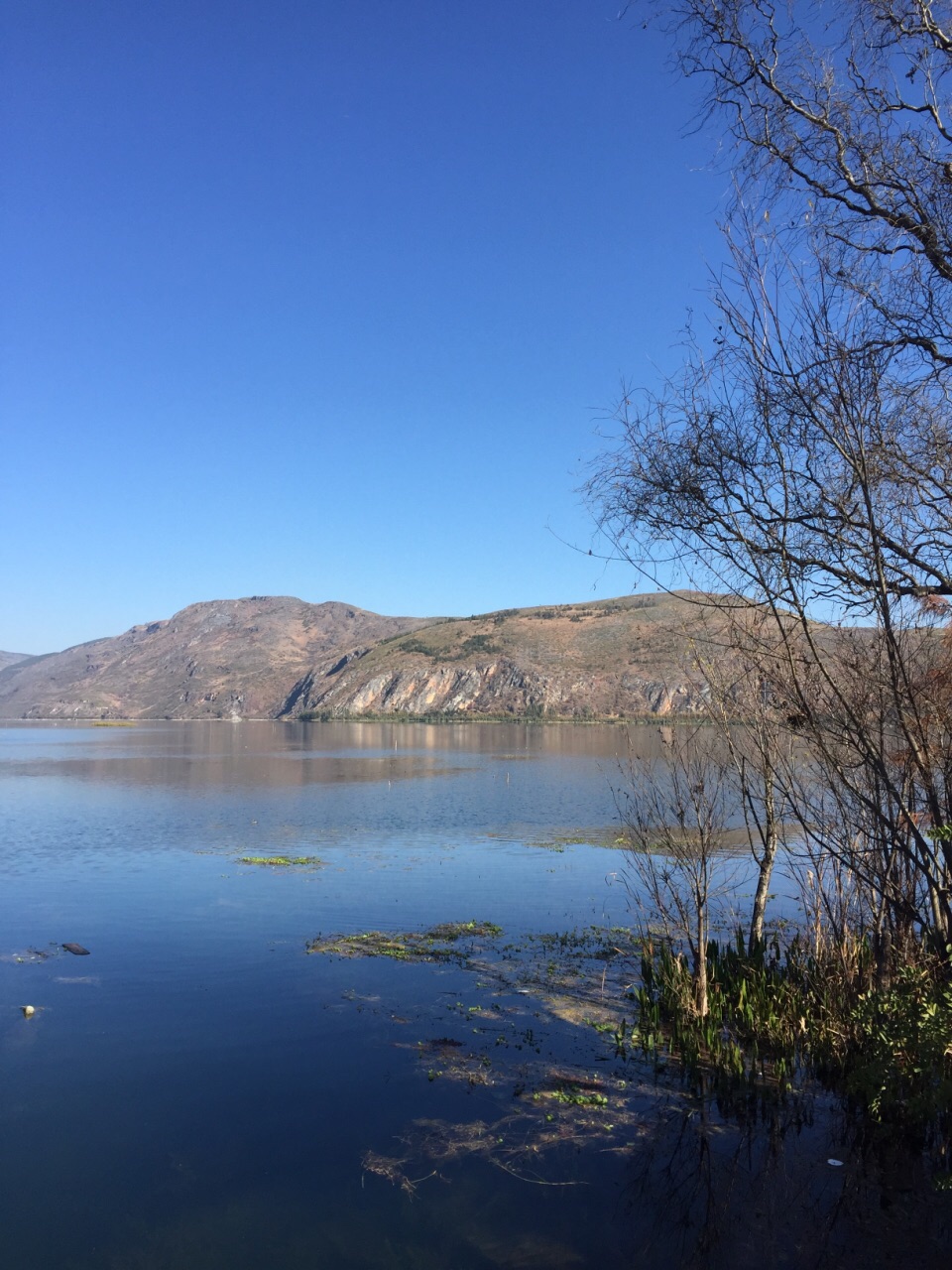 洱源茈碧湖风景名胜区图片