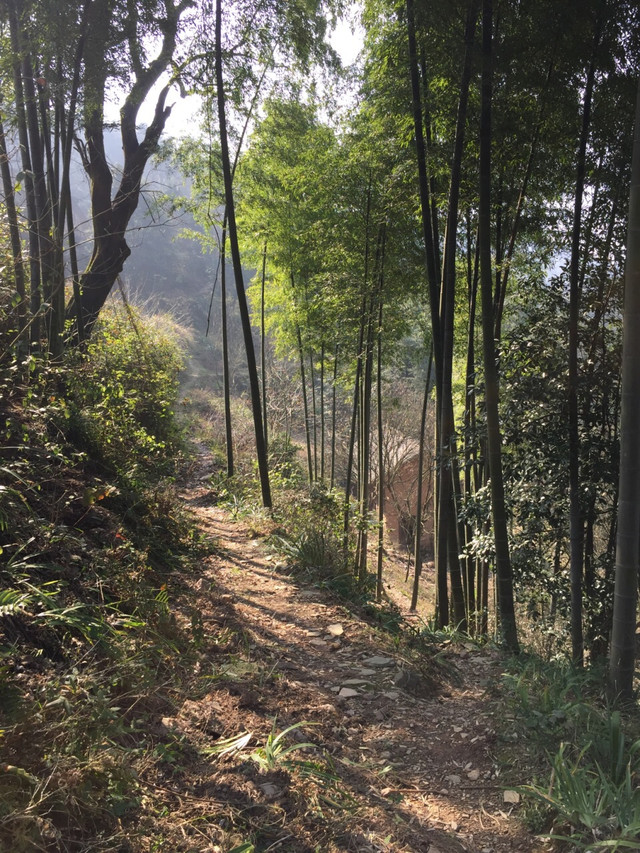 山村生活