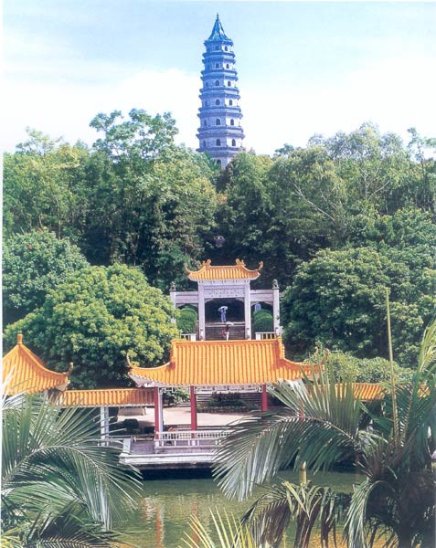 桂西纪行:南宁青秀山公园 - 南宁青秀山公园 - 实验室设备网