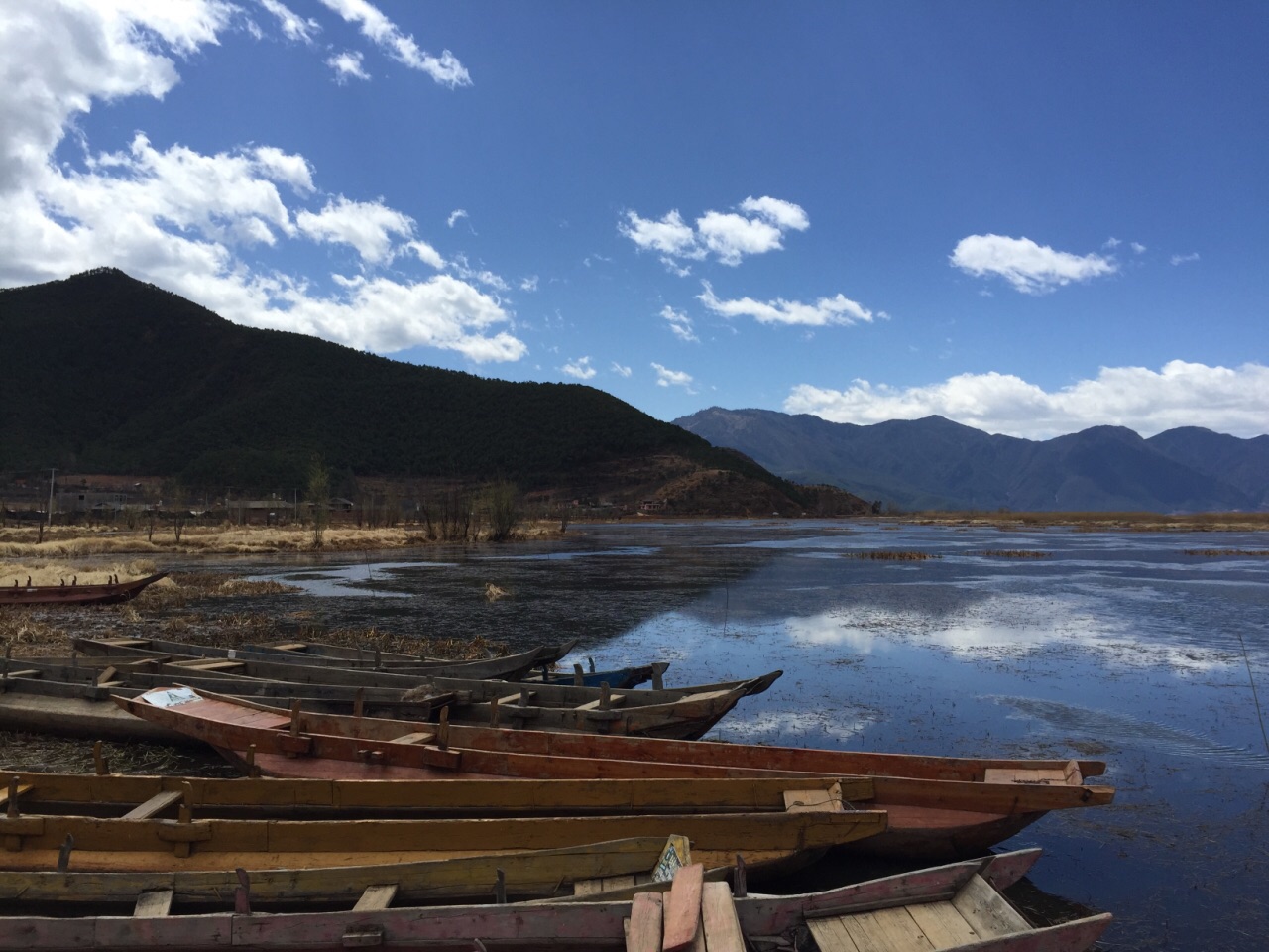 2019草海_旅遊攻略_門票_地址_遊記點評,瀘沽湖旅遊景點推薦 - 去哪兒