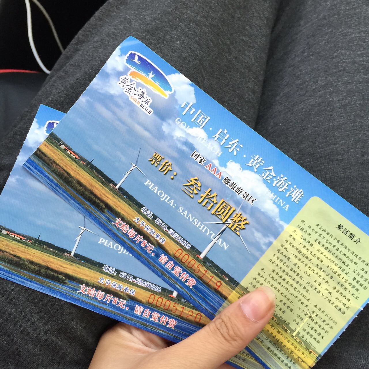 温州黄金海岸沙滩门票图片