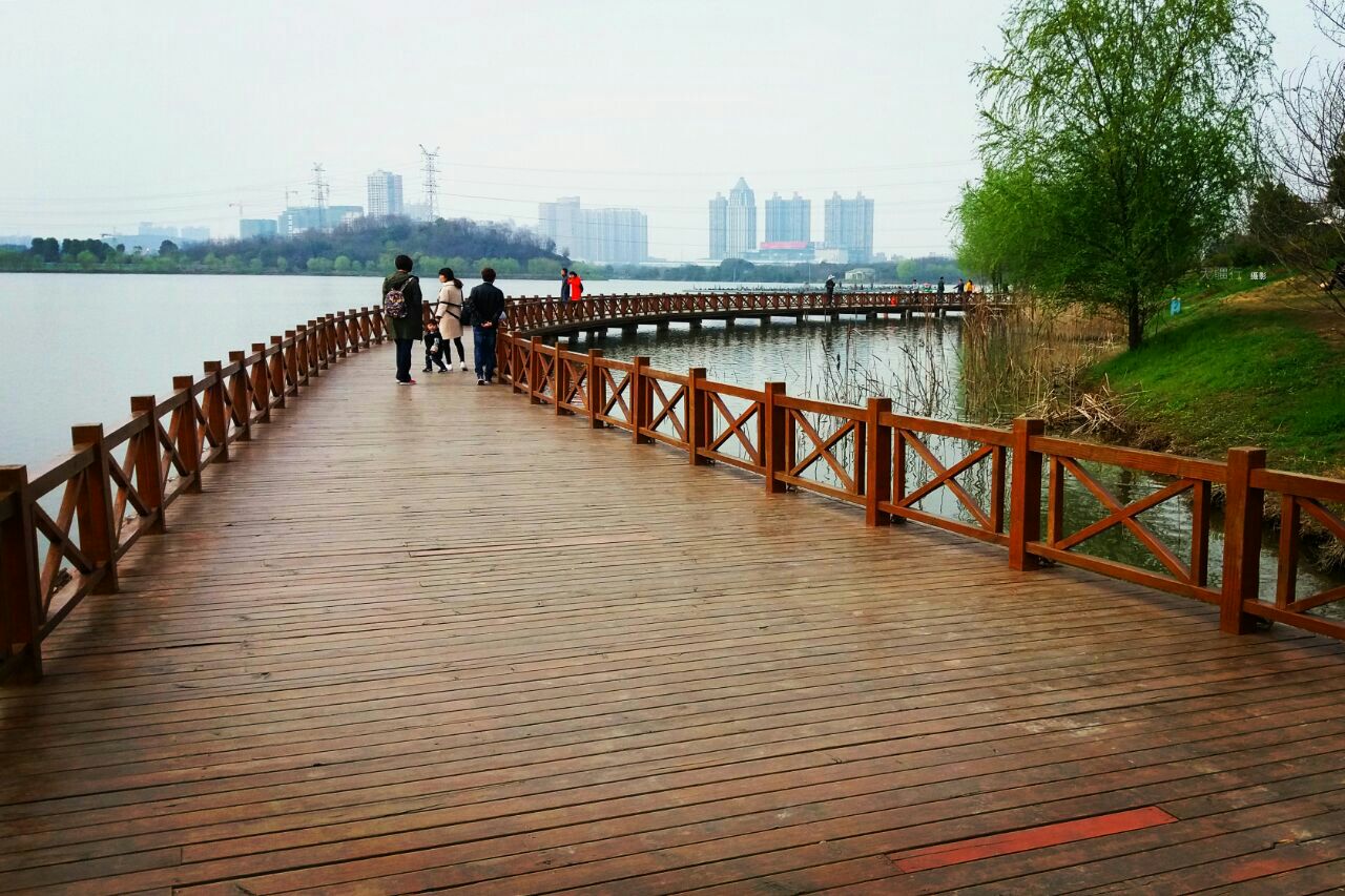 武漢後官湖溼地公園攻略,武漢後官湖溼地公園門票/遊玩攻略/地址/圖片