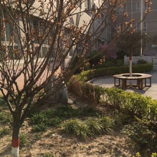 绿荫广场   分 29条点评 景点 广场 建筑人文 距景点715m 免费