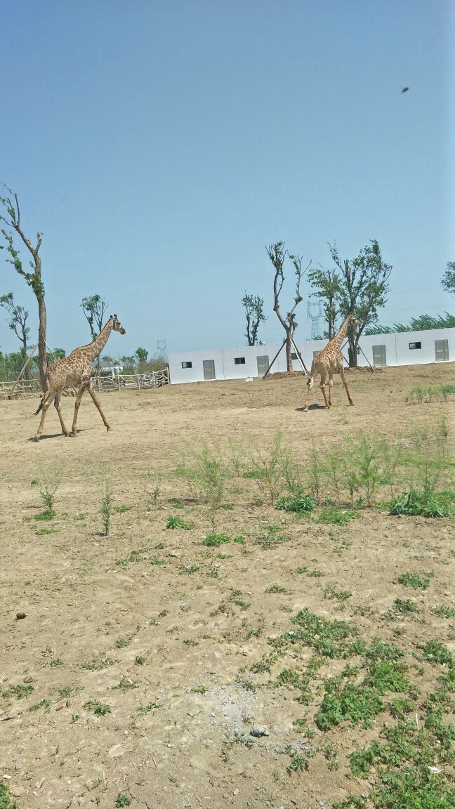 宿州野生動物園