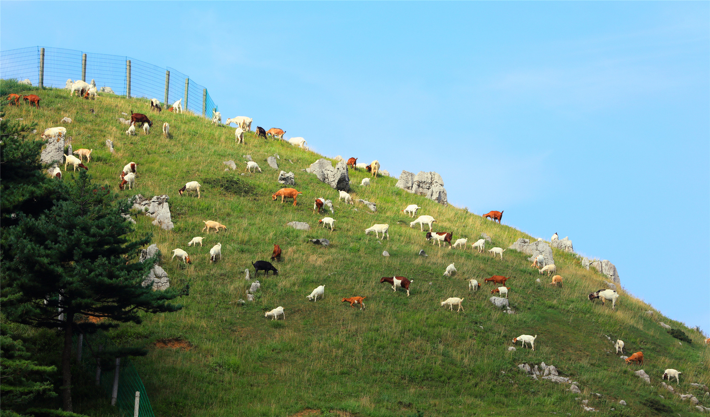 【携程攻略】宜昌百里荒景点,周末开车带着一家人过来玩,百里荒地方