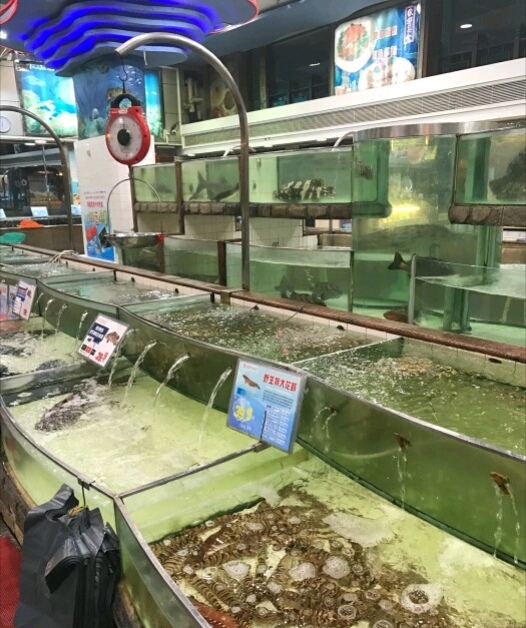 东江海鲜酒家(广州大道南店)