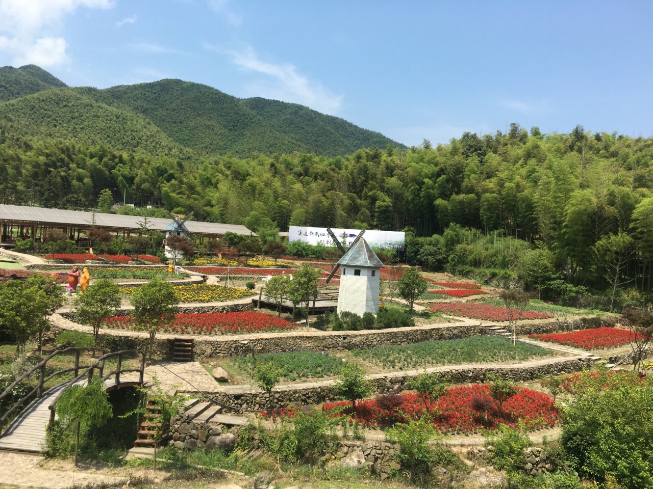 2019浙東大竹海景區_旅遊攻略_門票_地址_遊記點評,寧波旅遊景點推薦