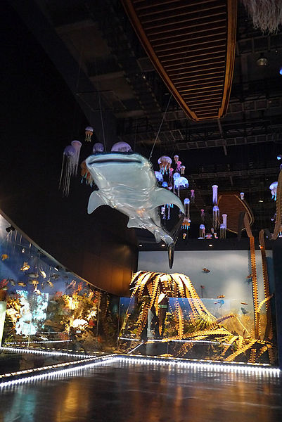 2018海洋科技博物馆_旅游攻略_门票_地址_游记点评,基隆旅游景点推荐