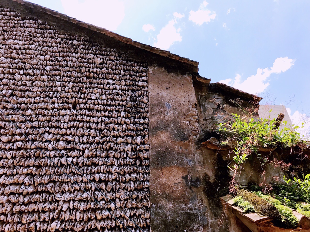 小洲村旅游景点攻略图