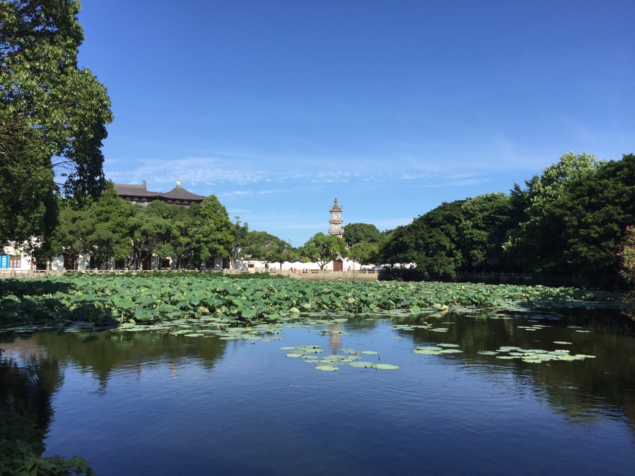 2019慧濟寺_旅遊攻略_門票_地址_遊記點評,普陀山旅遊景點推薦 - 去