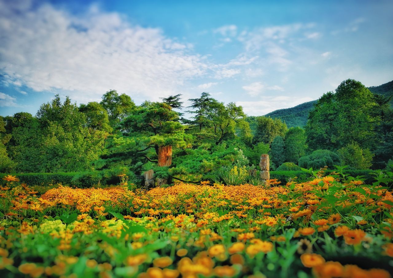 北京植物園