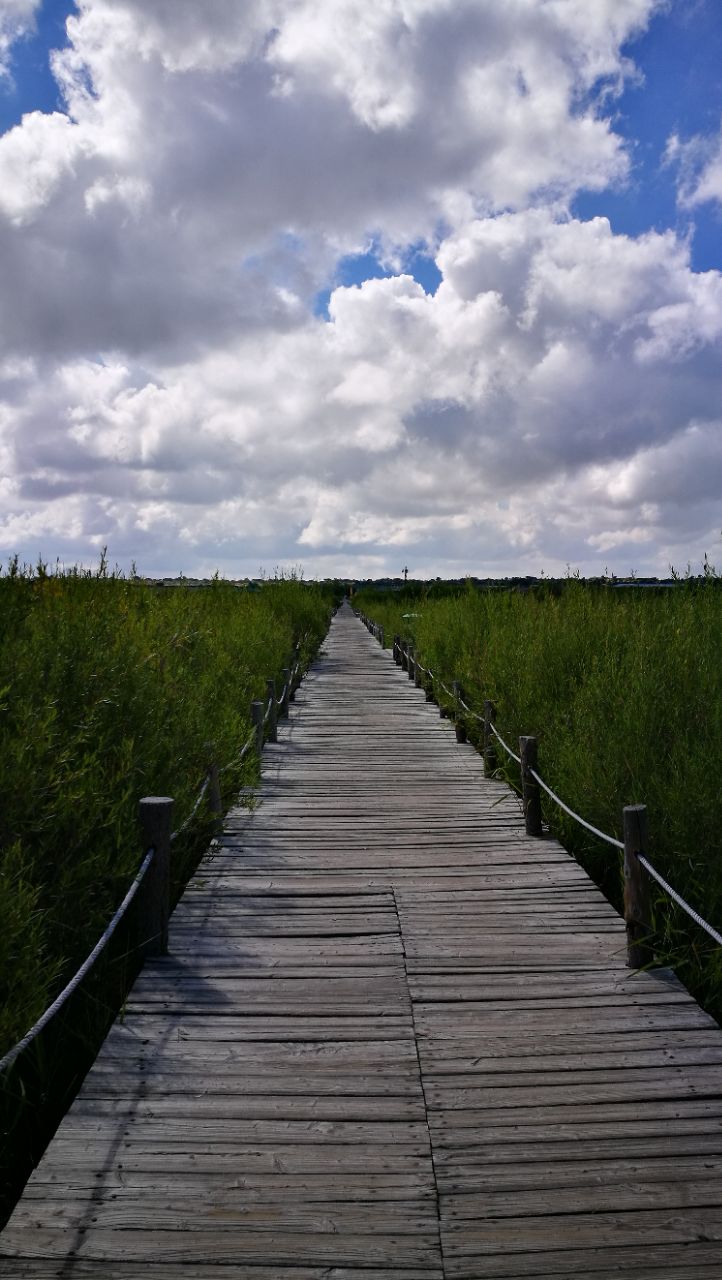 达里湖—南岸景区
