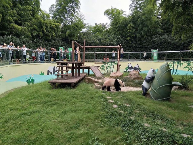 鸡鸣村--隐逸在竹海之巅的古村落