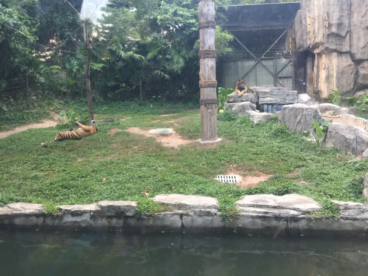 廣州動物園