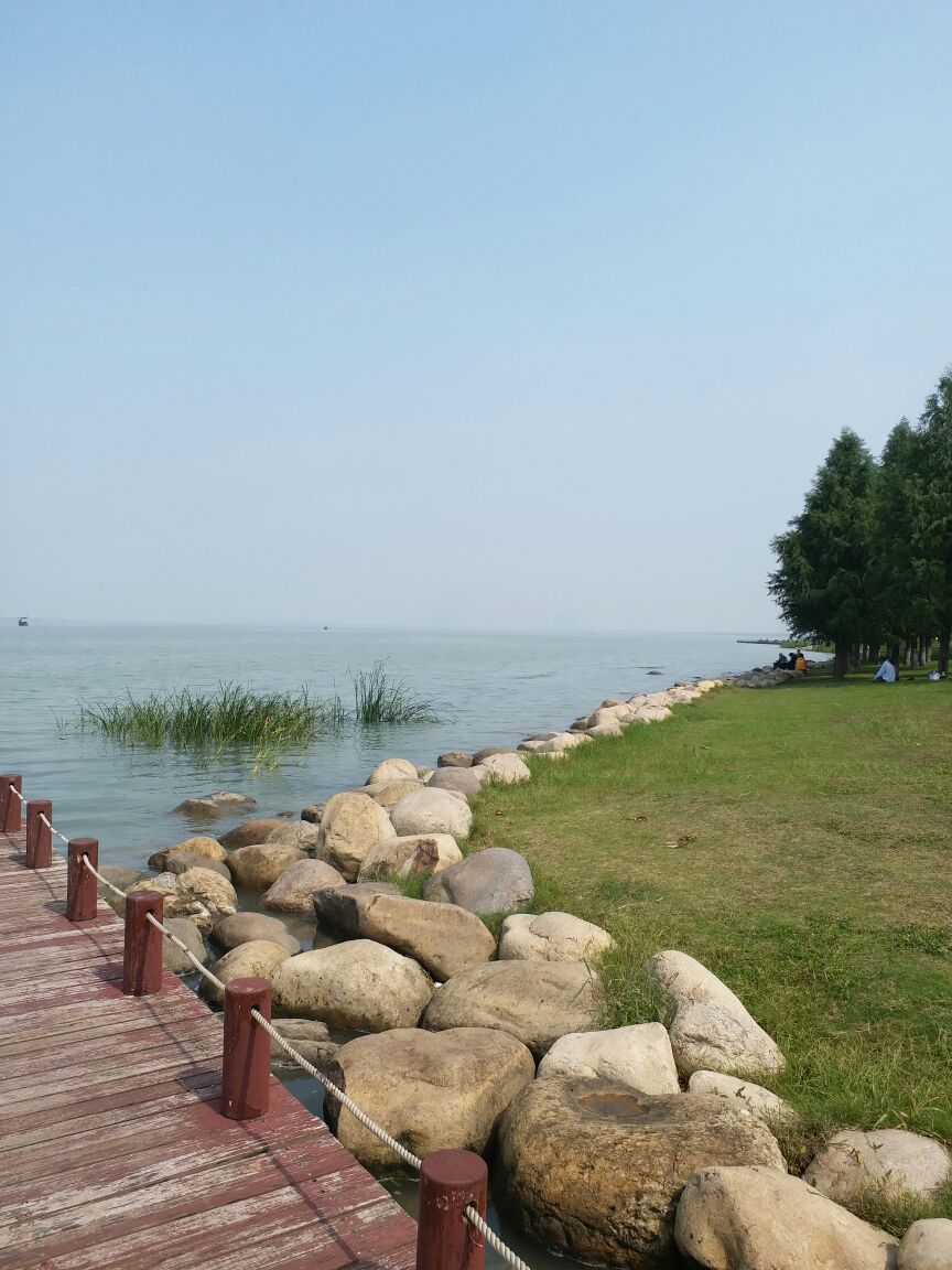 吴江东太湖生态园图片