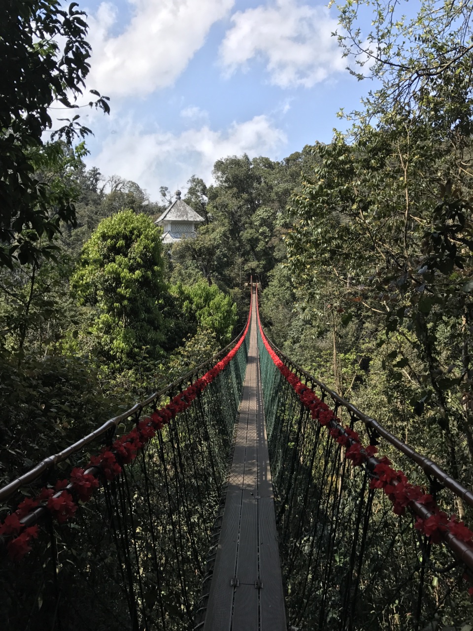 屏边大围山