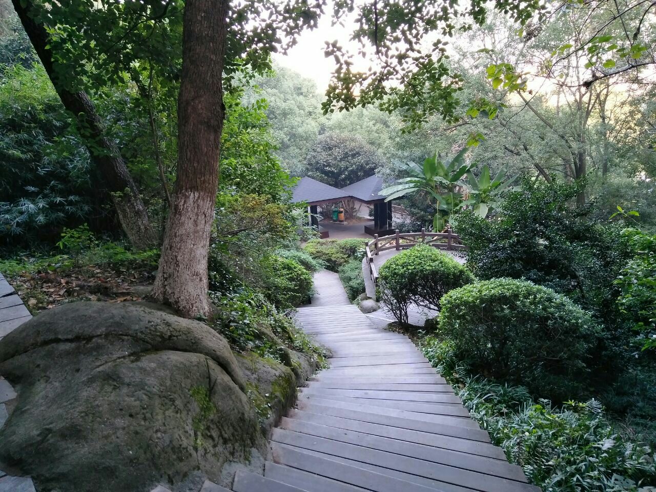 你们见过晚上的龙泉山城市森林公园丹景台景区吗？|龙泉山_新浪新闻