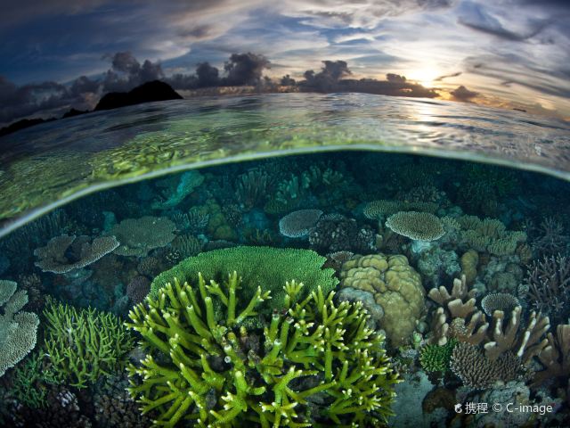 拉贾安帕特群岛