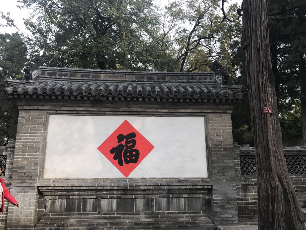 孔府就是孔家大宅子了逆时针绕着转一圈大概需要一到两个小时后花园的