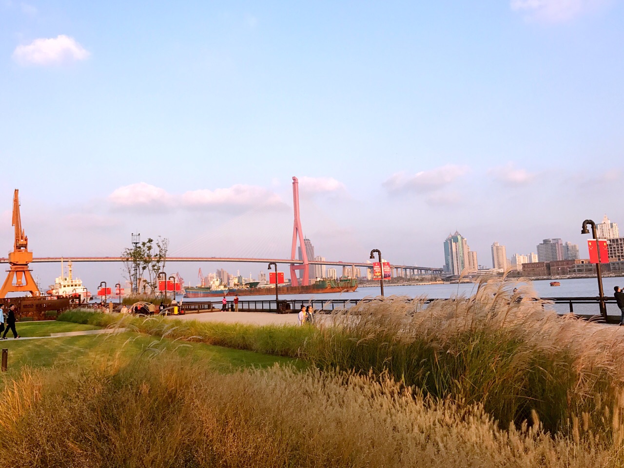 杨浦滨江绿化带