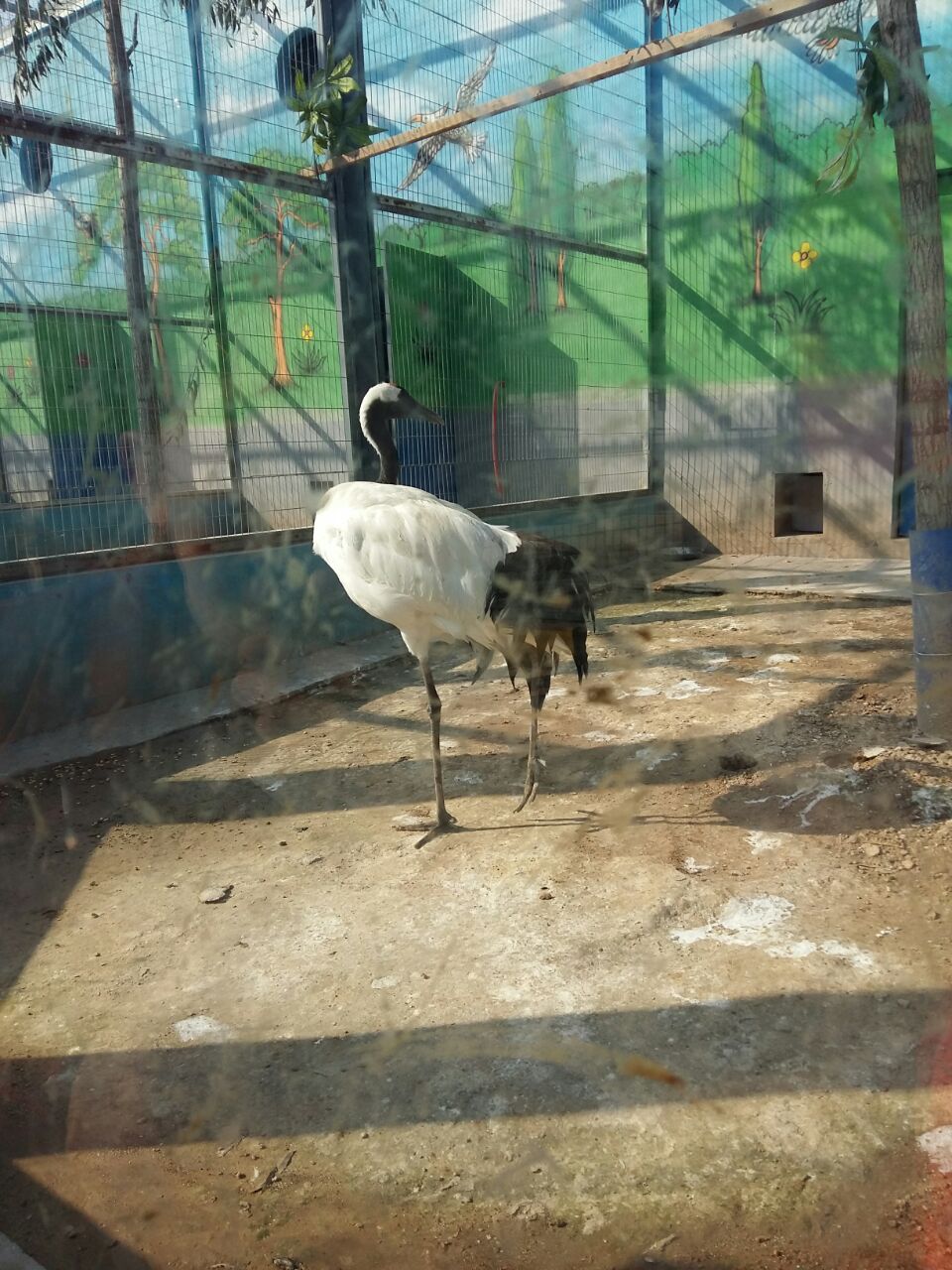 德州動植物園