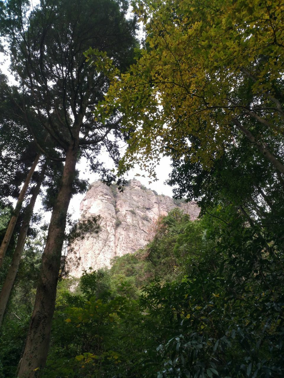 步行街马路不宽,两边商铺林立,卖的多是温州当地特产,比如鸭舌,虾干