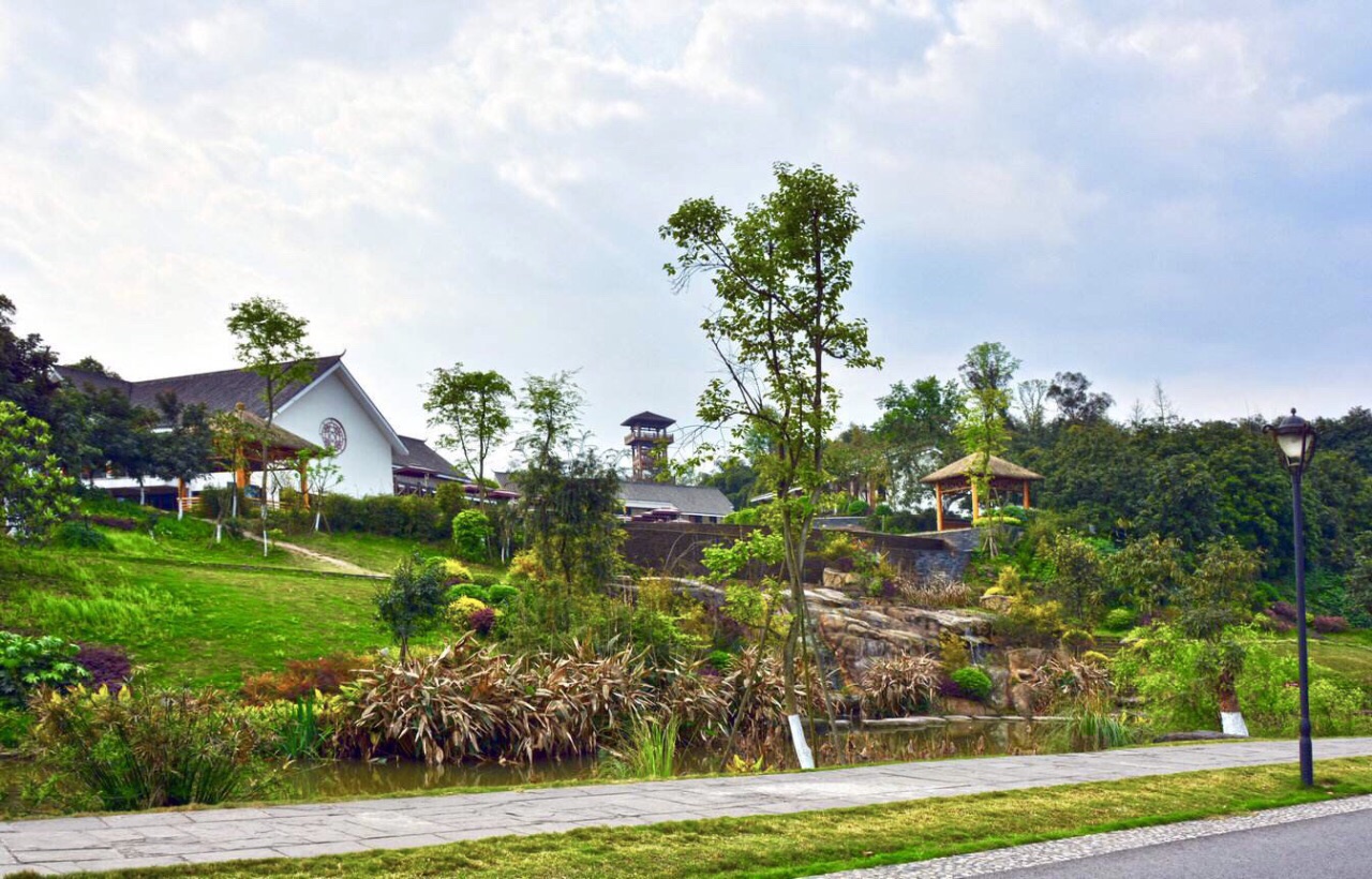 张坝桂圆林,张坝桂圆林坐落在泸州市长江边上,占地4500亩,里面全是一