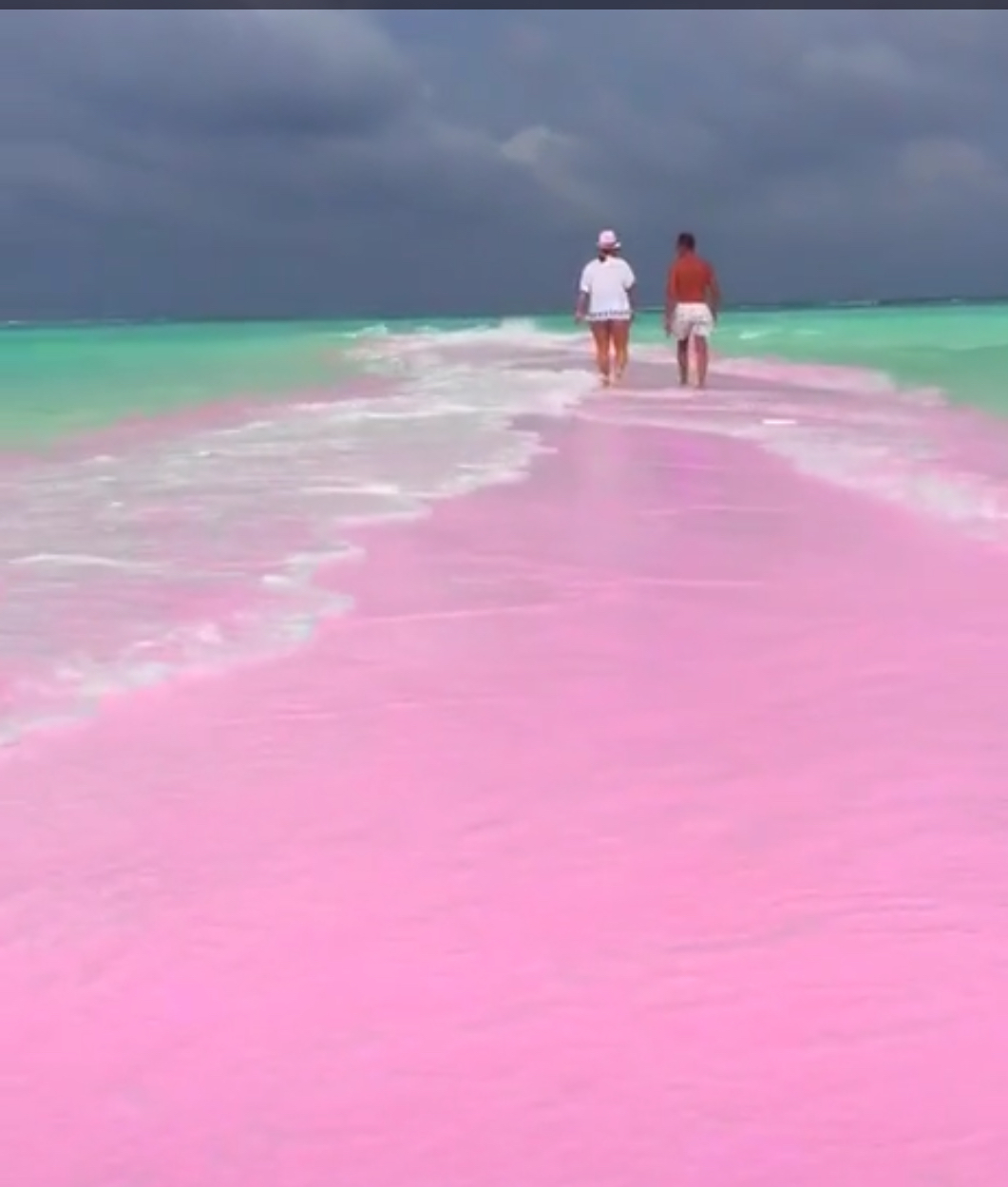 一生不能错过的科莫多龙和粉色沙滩 - 知乎
