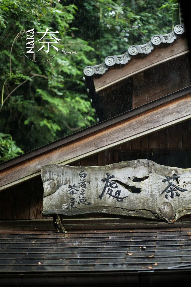 行走日本 京都 北海道 拥抱一场淡紫色的梦 携程氢气球