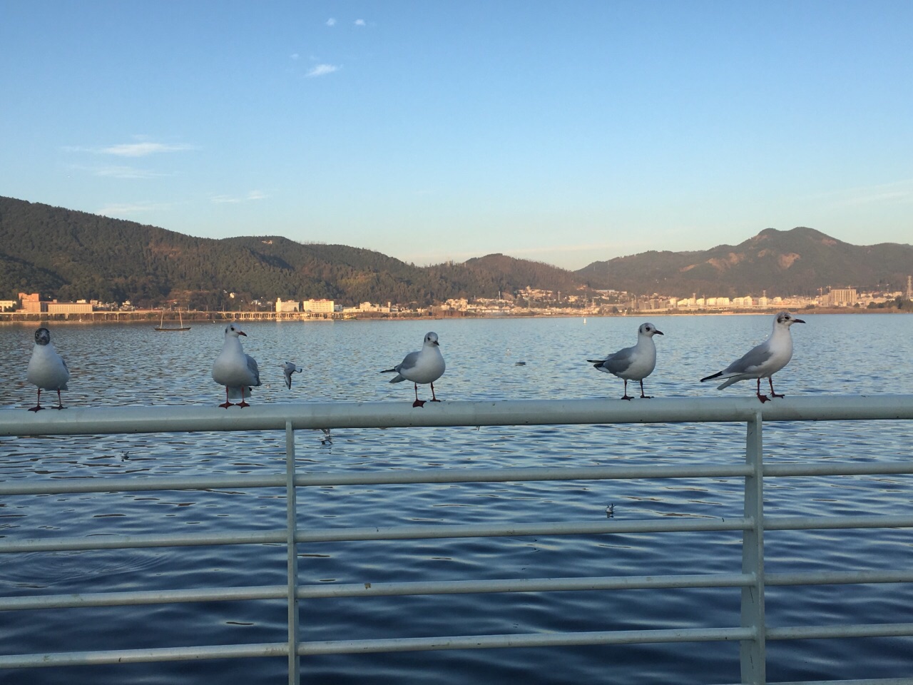 海埂大坝