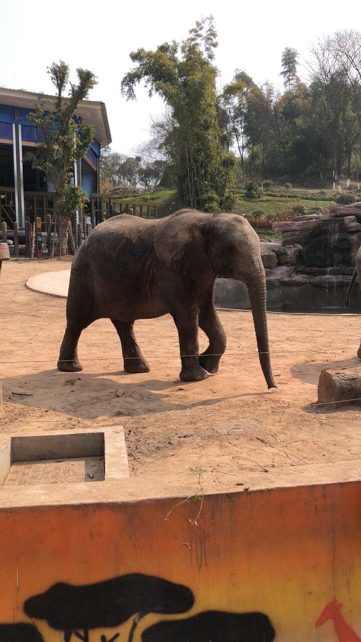 重庆野生动物世界
