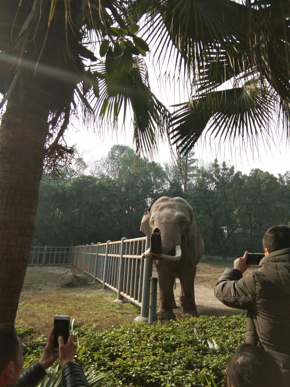 重慶動物園