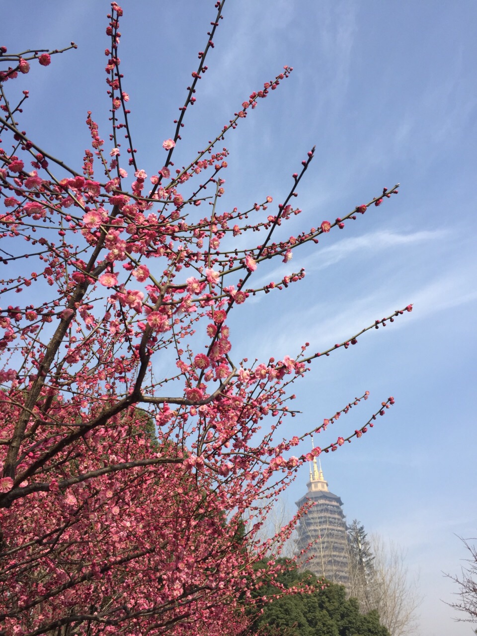 常州紅梅公園好玩嗎,常州紅梅公園景點怎麼樣_點評_評價【攜程攻略】