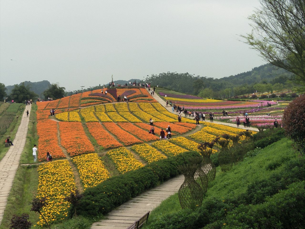2023铜梁奇彩梦园游玩攻略,.,最好别再外面那些餐馆那.【去哪儿攻略】