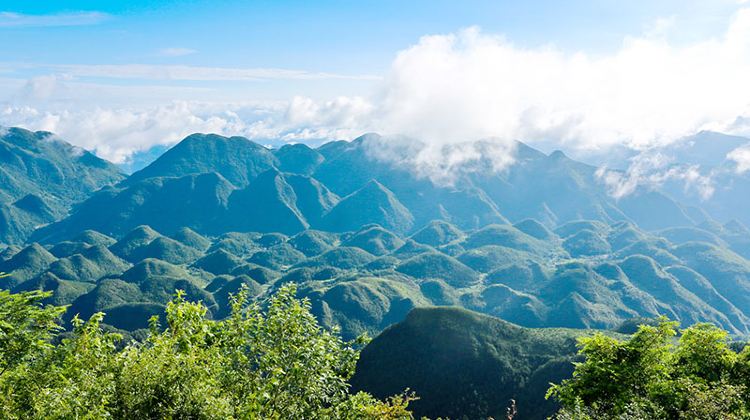 万源八台山攻略-八台山门票价格多少钱-团购票价预定优惠-景点地址