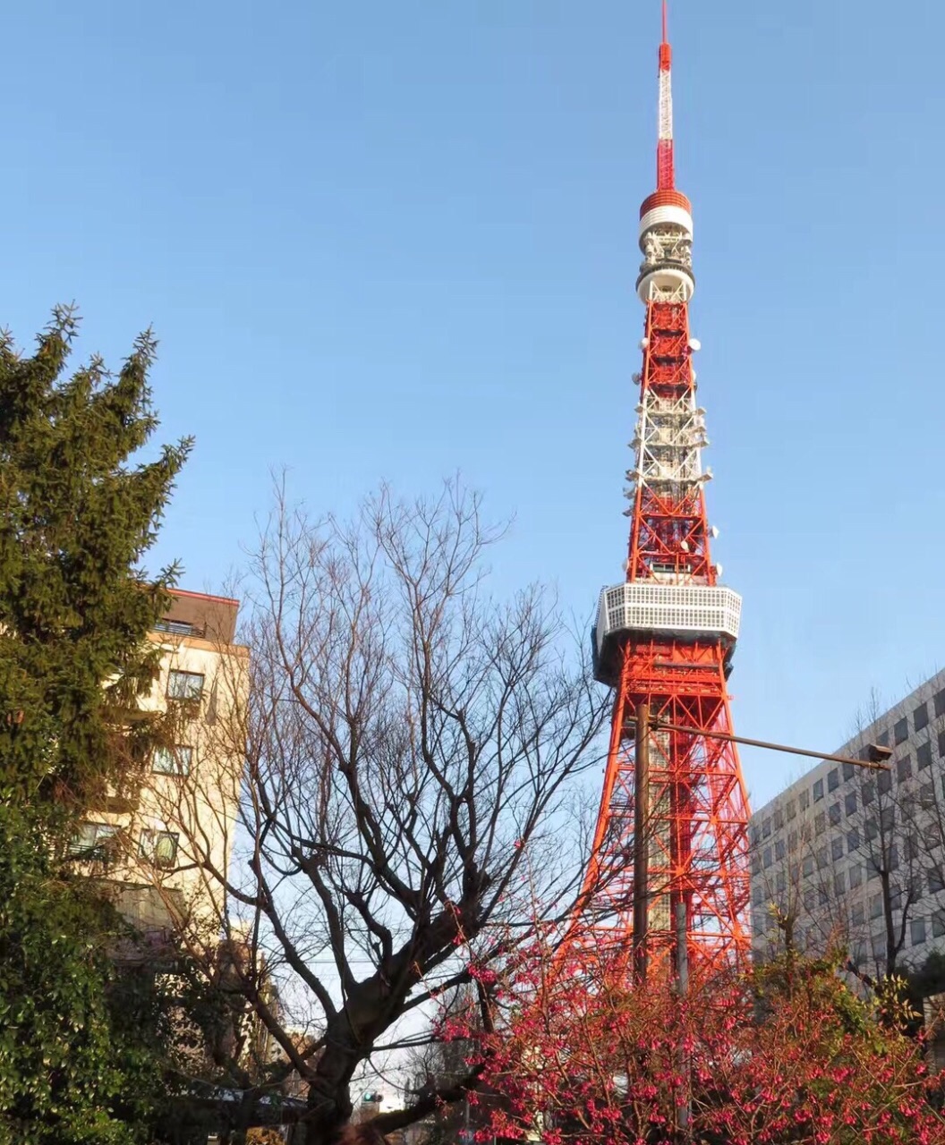 日本东京英里塔图片