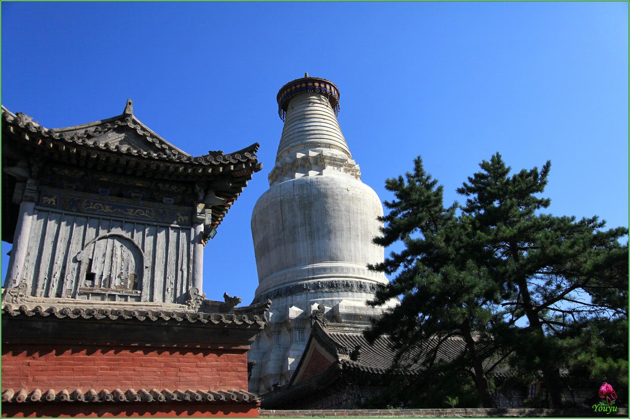 塔院寺,位于山西五台山佛教中心区台怀镇,原是大华严寺的塔院.