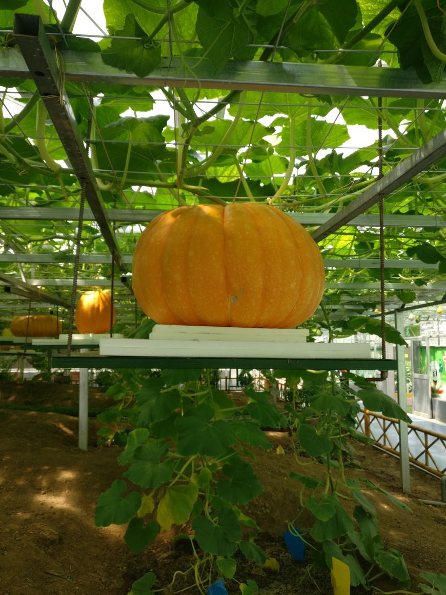 蘭陵國家農業公園